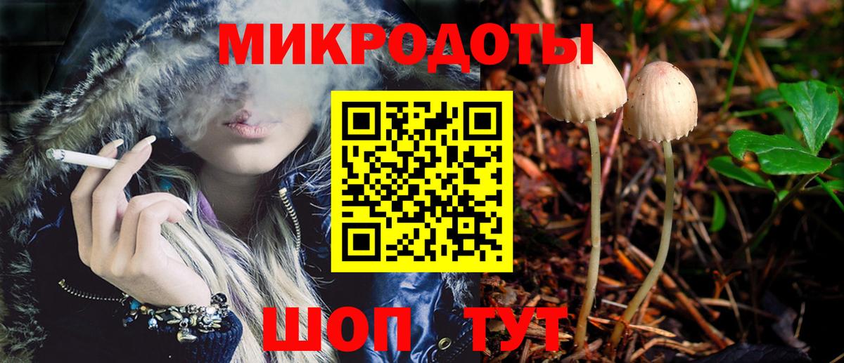 Псилоцибиновые грибы Cubensis Отрадный