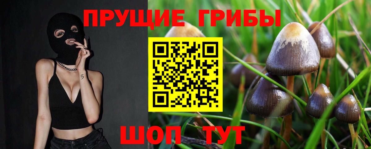 Отрадный  что такое   Вход с VPN  Псилоцибиновые грибы GOLDEN TEACHER 
